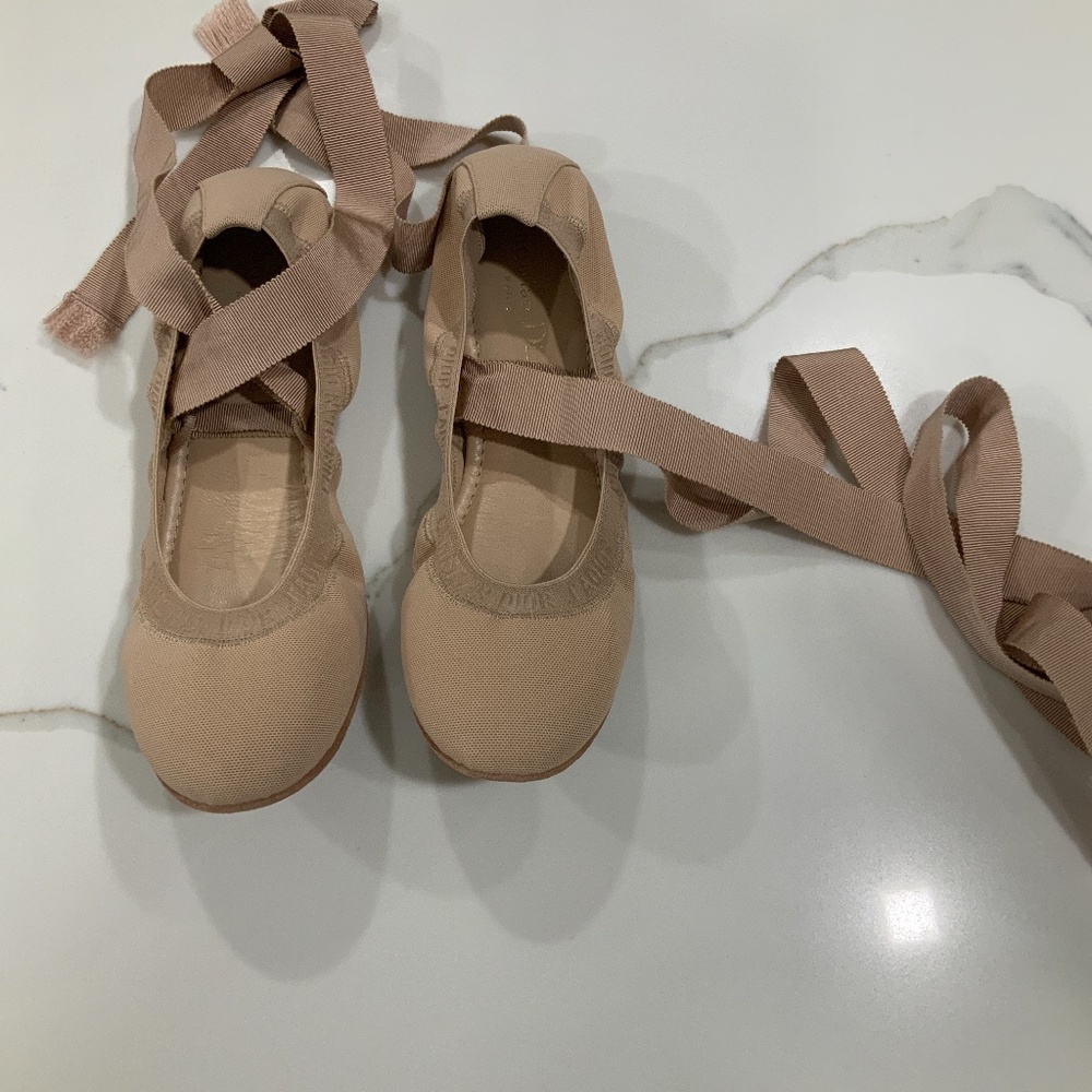 Christian Dior Academy lace up ballerina flats